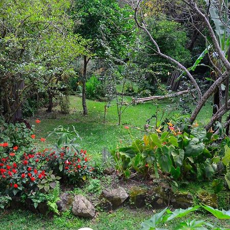 Hospedagem Caminho Da Angelica Διαμέρισμα Vale do Capao Εξωτερικό φωτογραφία
